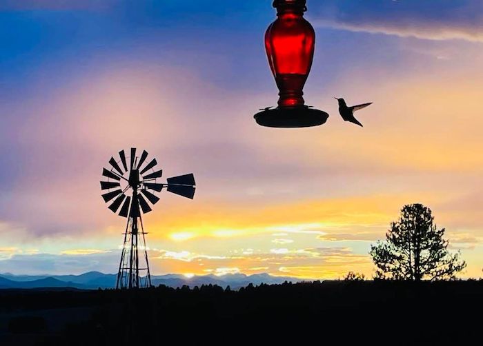 Gorgeous sunset view with old windmills and trees around