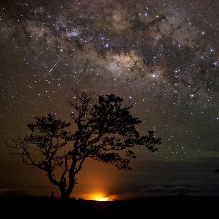 The milky in the night sky with a tree in the foreground.