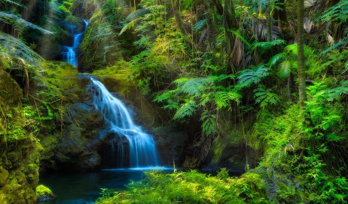 A waterfall in a lush green forest.