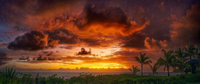 A colorful sunset over the ocean with palm trees.