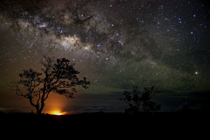 A tree and milky in the night sky.