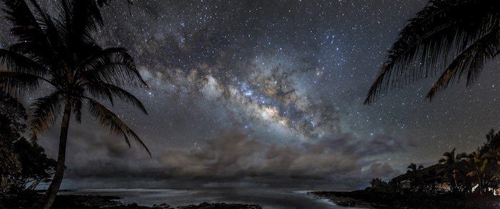 The milky lights up the sky over a beach and palm trees.