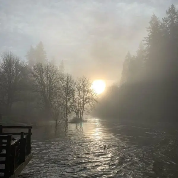 The sun rises over a river in a foggy morning.