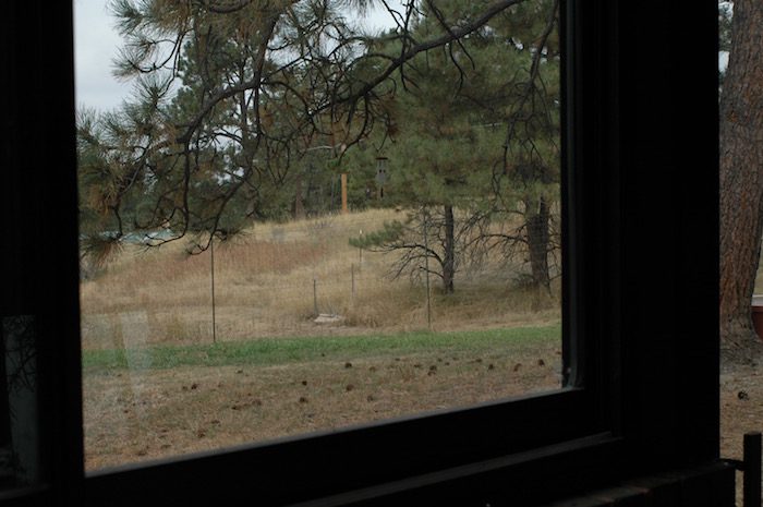 A view of a field through a window.