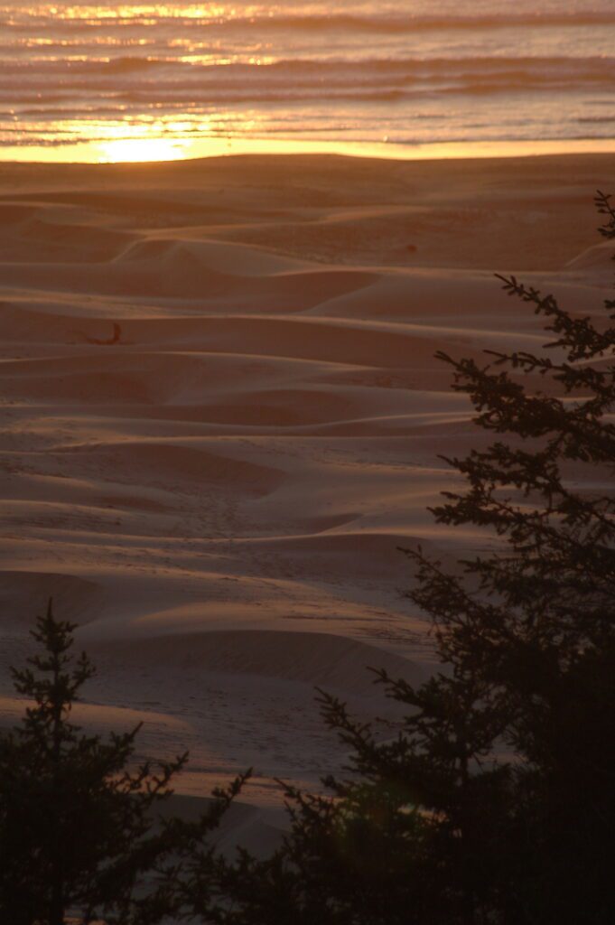 Sand dunes on the beach.