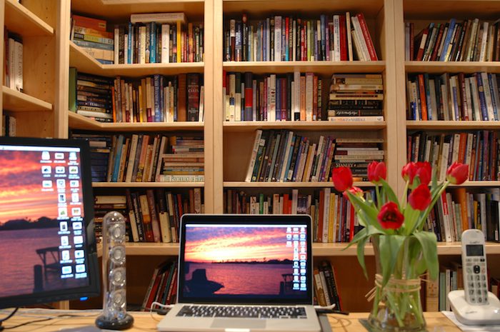 A desk with two laptops and a vase of tulips.