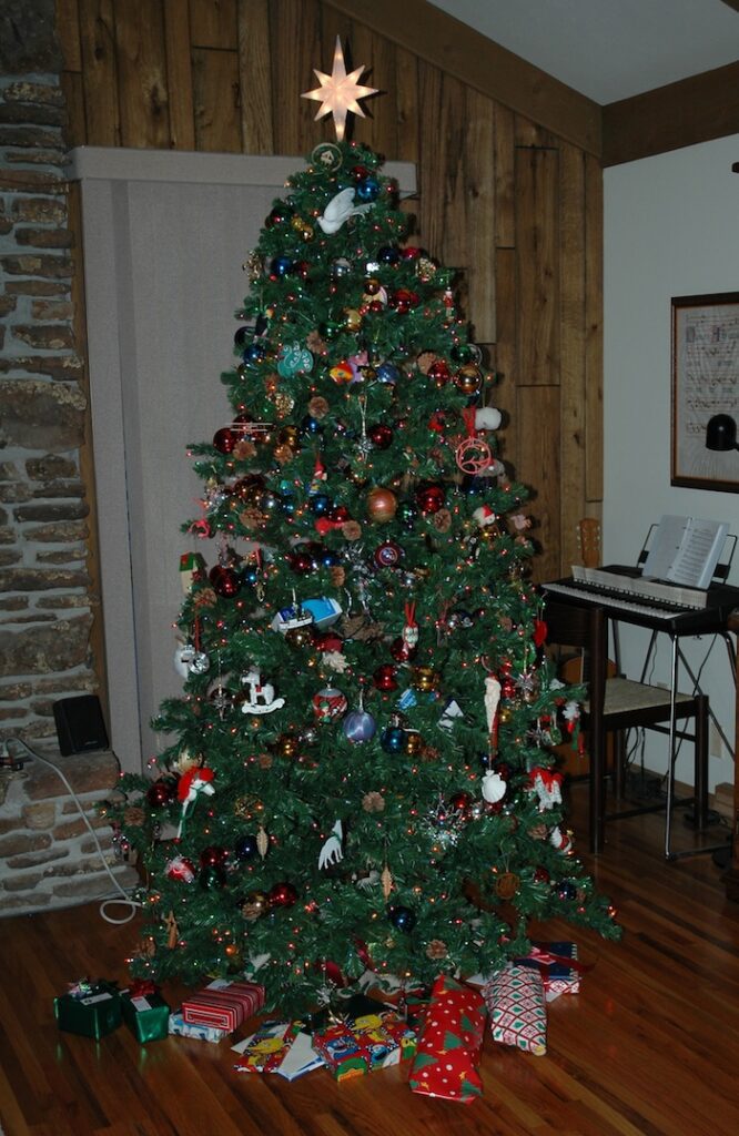 Closeup shot of Christmas trees and gifts