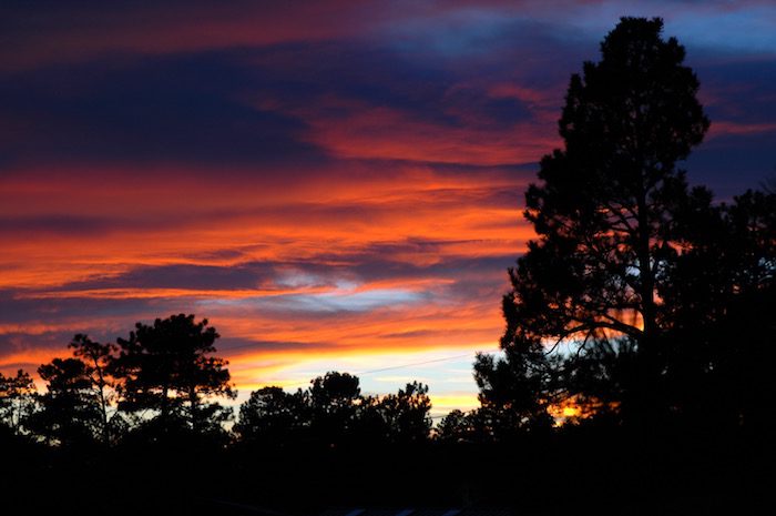 A colorful sunset with trees in the background.