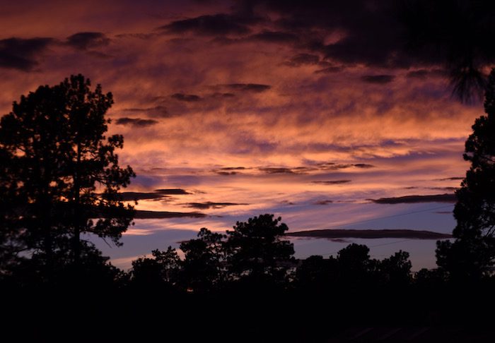 A sunset over a forest with trees in the background.