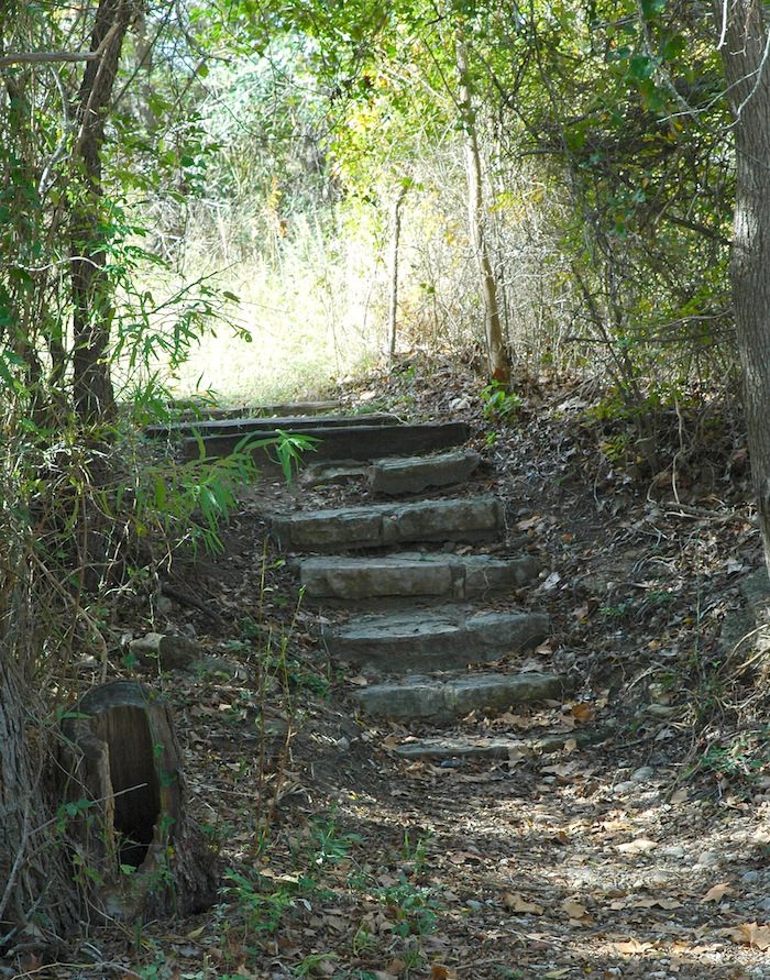 A set of stairs leading to a wooded area.