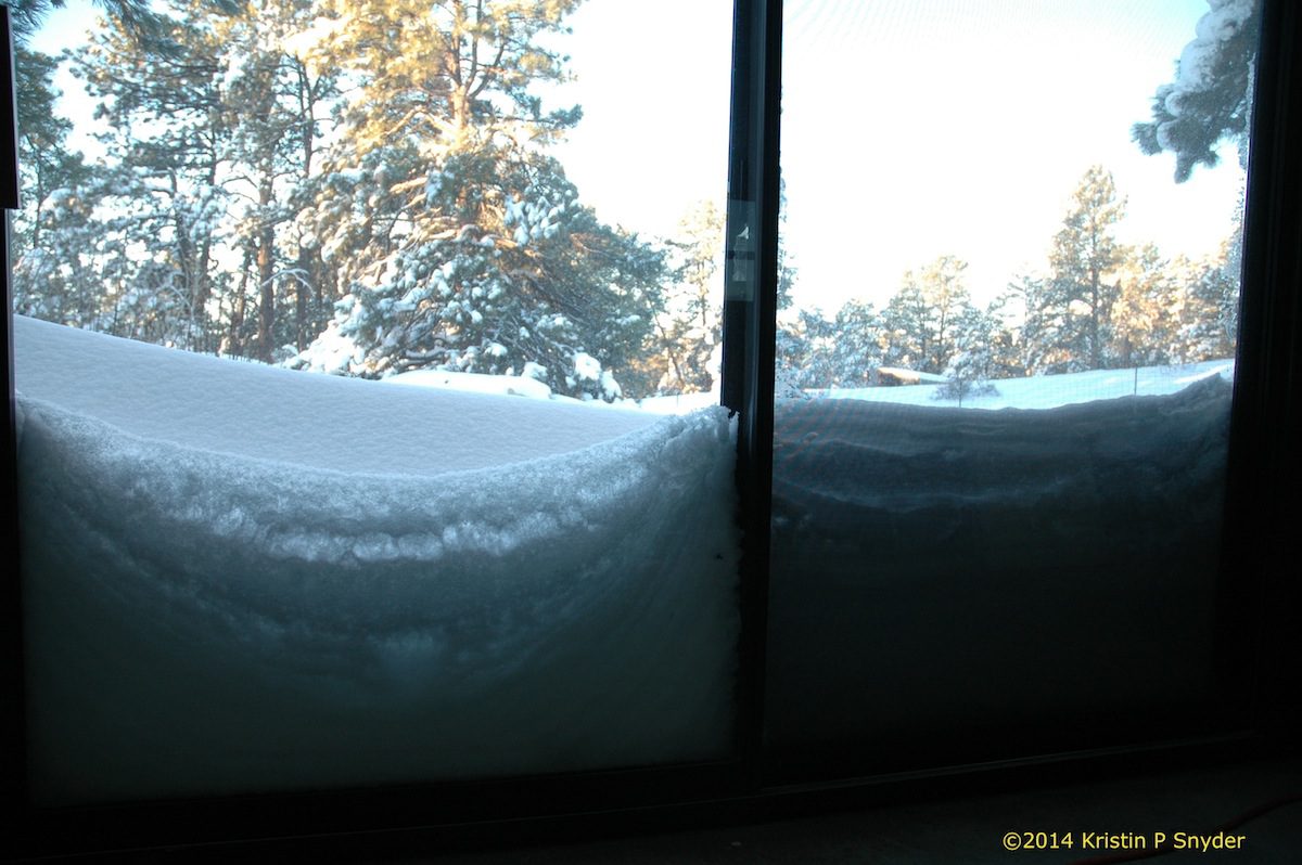 View of trees covered with snow through the window