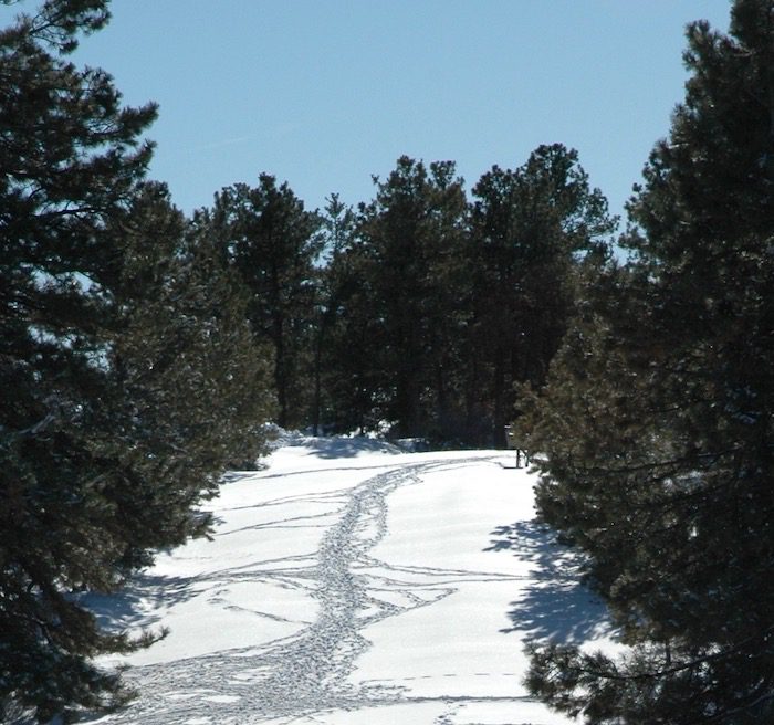 A snow covered trail with trees in the background.