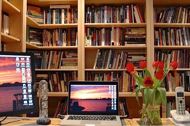 A desk with two laptops and a vase of tulips.