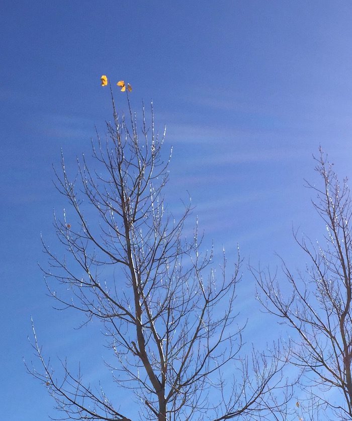 Two yellow kites flying in the sky.