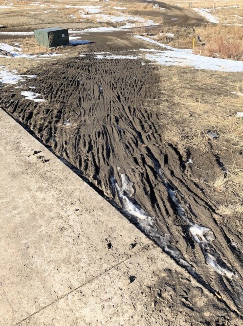 A dirt road in the middle of a field.