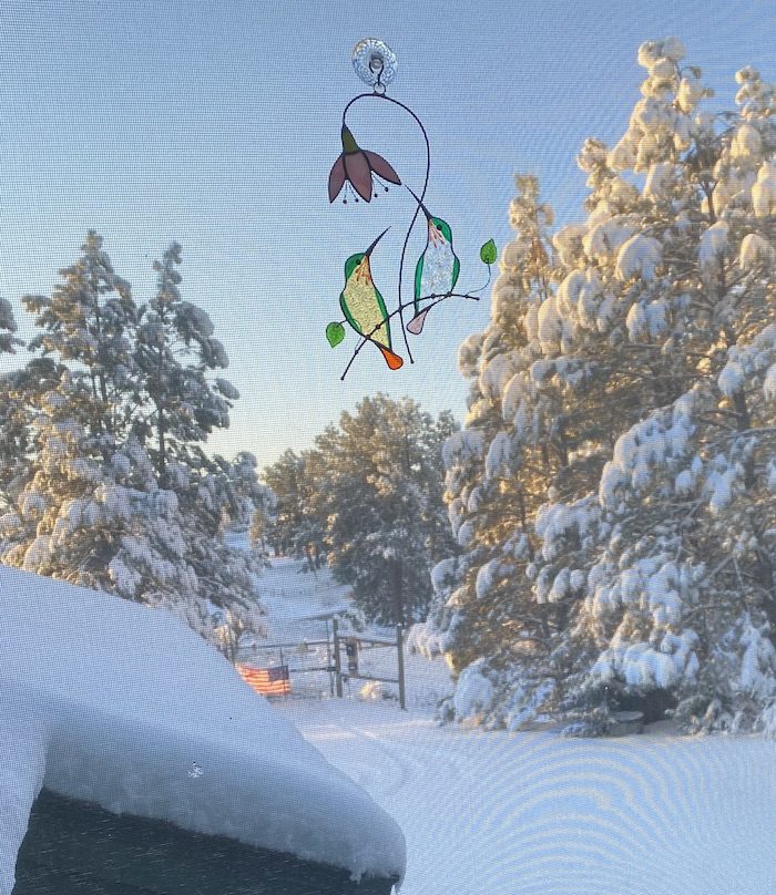 Hummingbirds on a wind chime in the snow.