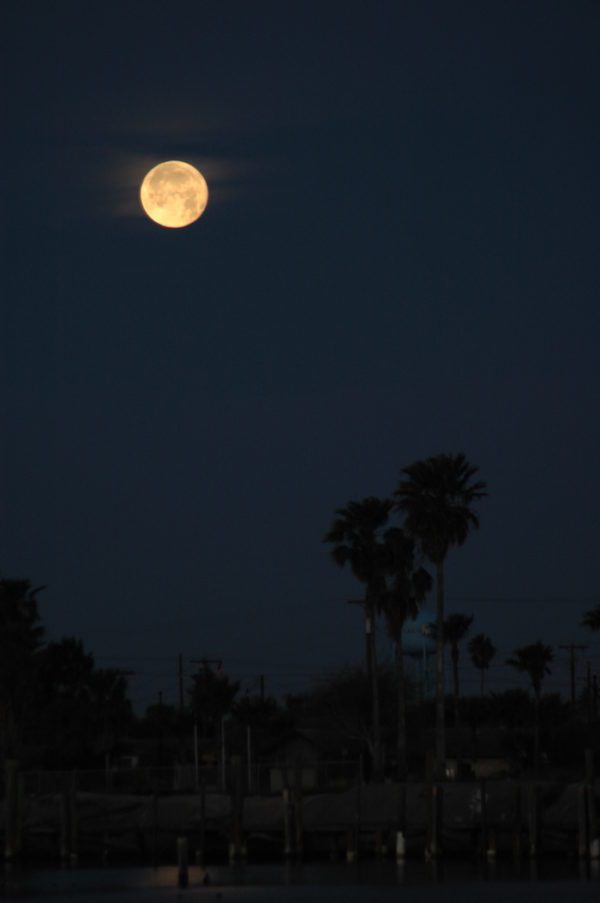 A full moon rises over a body of water.