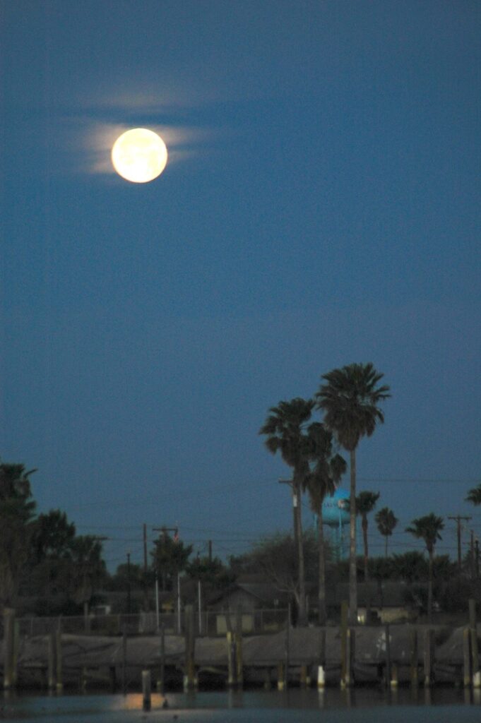 A full moon rising over a body of water.