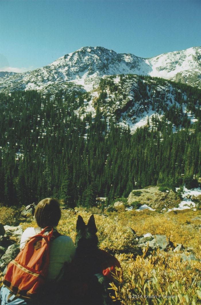 A man and his dog looking at the trees and mountains