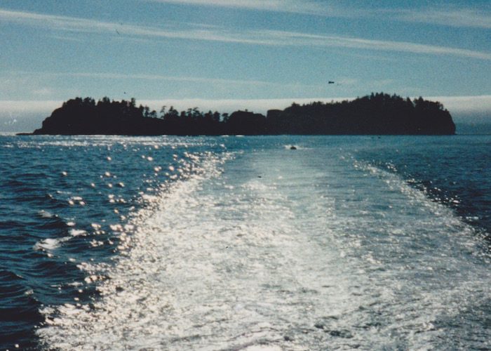 A boat in the water with a small island in the background.