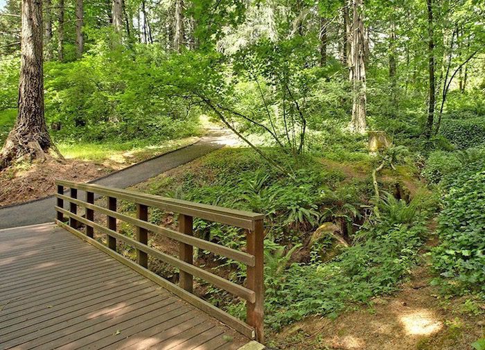 A wooden bridge leads to a path in a wooded area.